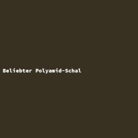 Beliebter Polyamid-Schal
