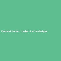 Fantastischer Leder-Luftreiniger
