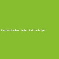 Fantastischer Leder-Luftreiniger