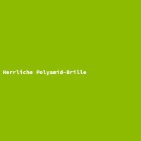 Herrliche Polyamid-Brille