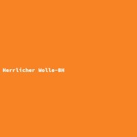 Herrlicher Wolle-BH