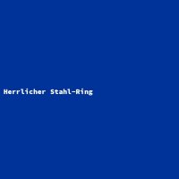 Herrlicher Stahl-Ring