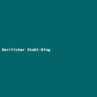 Herrlicher Stahl-Ring