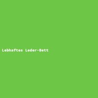 Lebhaftes Leder-Bett